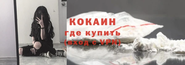 МДПВ Пересвет