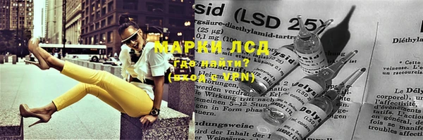 дживик Майский
