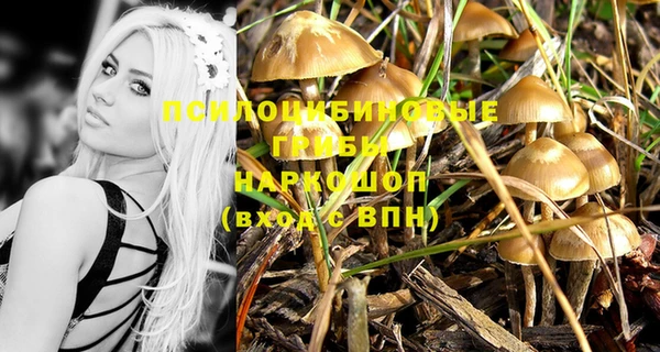 прущая мука Михайловск