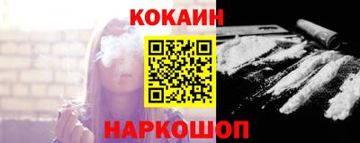 стаф Гай