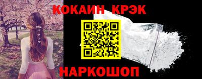 стаф Гай