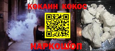 кокс Гатчина