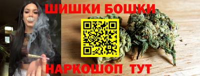 стаф Гай