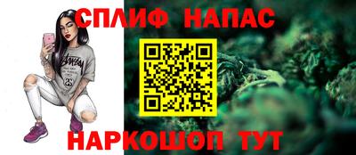 стаф Гай