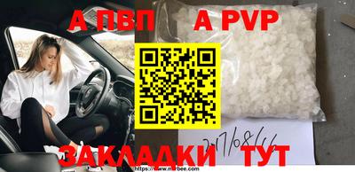стаф Гай
