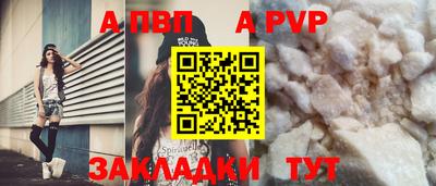 кокс Гатчина