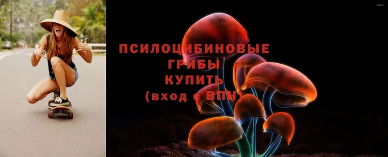 Галлюциногенные грибы Magic Shrooms  магазин    Ярославль 