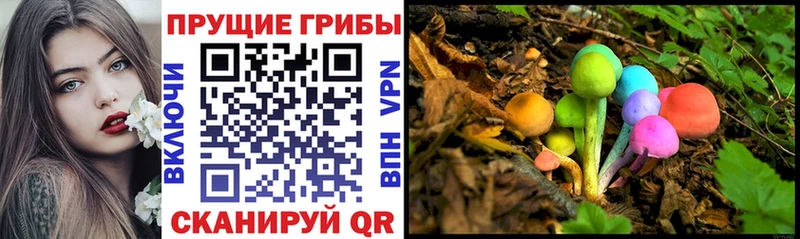 Галлюциногенные грибы мицелий  OMG сайт  Ярославль 