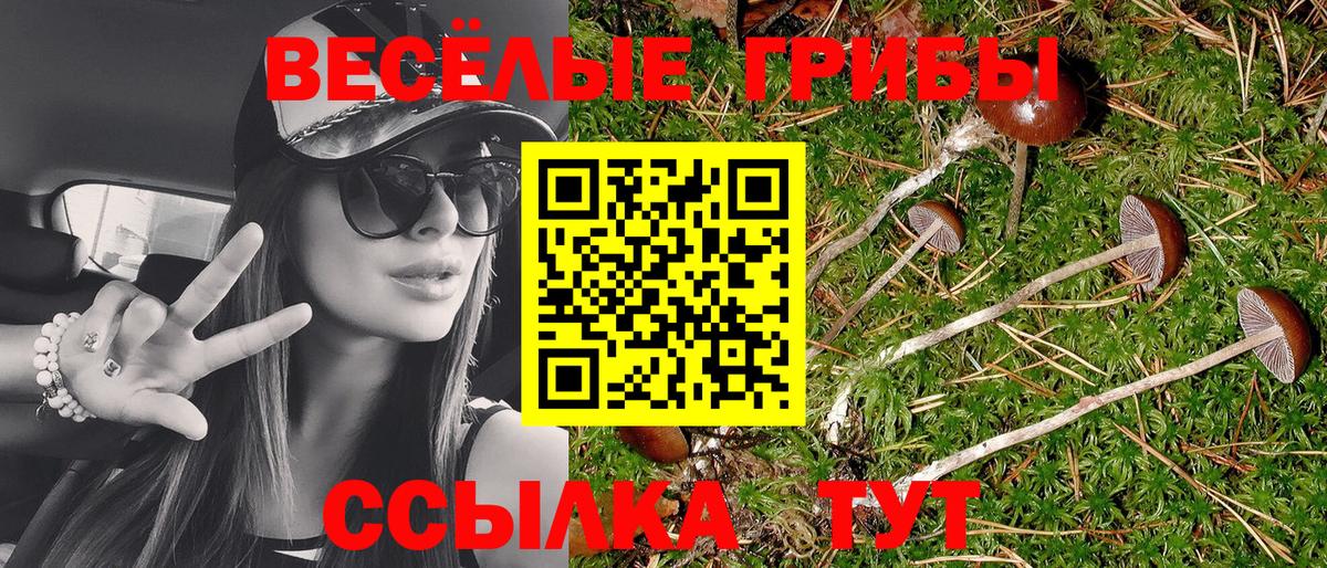 Галлюциногенные грибы ЛСД  Ярославль  Псилоцибиновые грибы ЛСД 