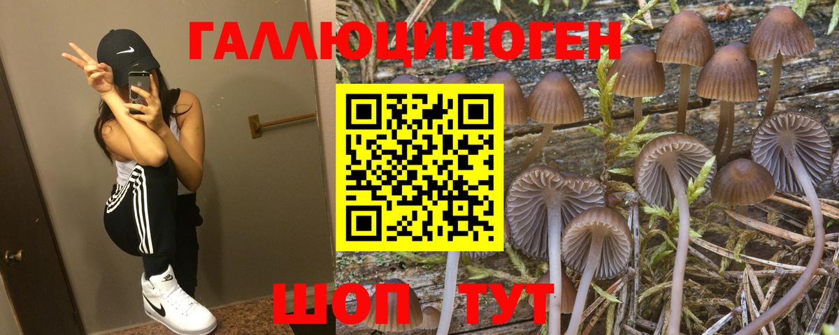 Галлюциногенные грибы Psilocybine cubensis  Вход с VPN  Ярославль 