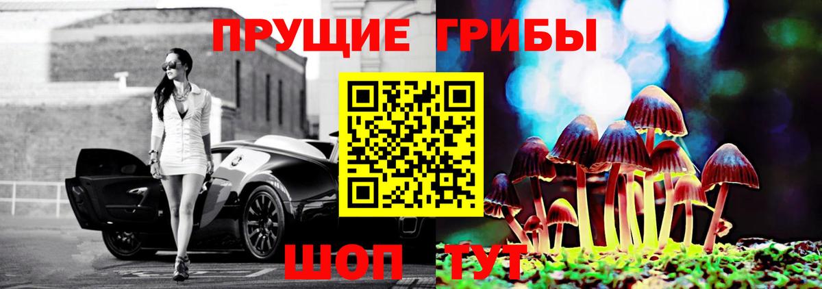 Псилоцибиновые грибы Cubensis Ярославль